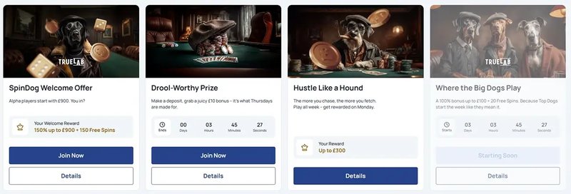 Best spindog login in United Kingdom